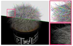Inverse Rendering for Modeling with Line Primitives